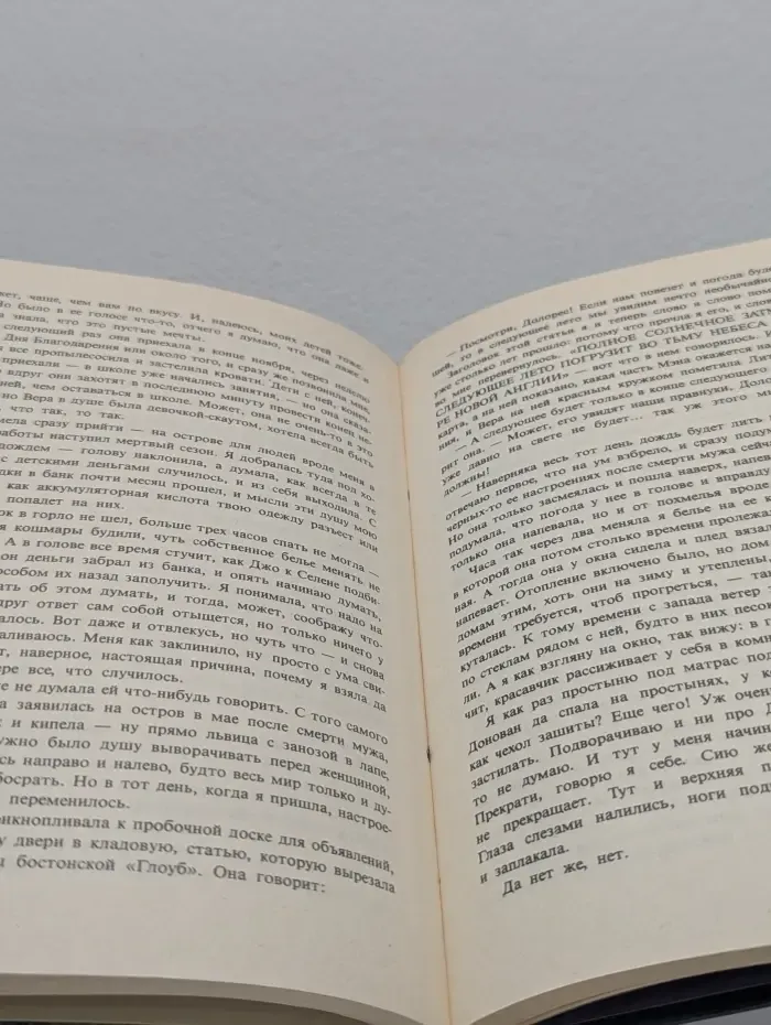 Зарубежный триллер. Долорес Клэйборн