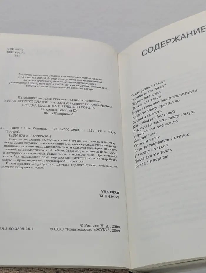 Dog-Профи. Такса