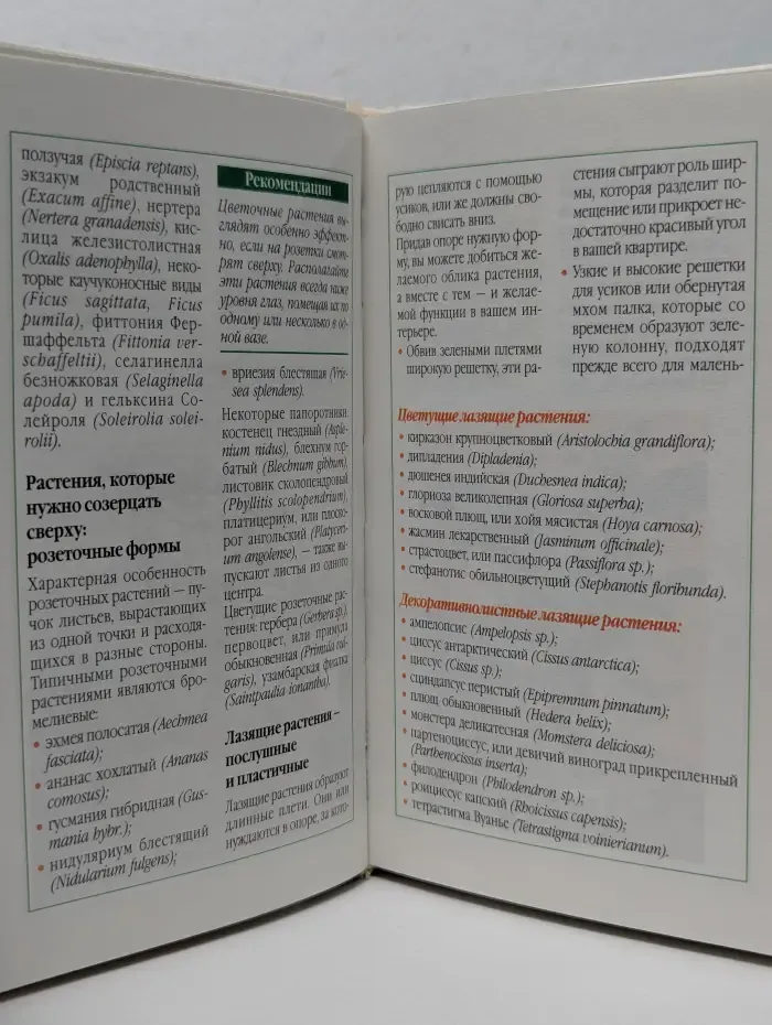 Растения в доме, саду и на огороде. Комнатные растения. Размещение. Композиции