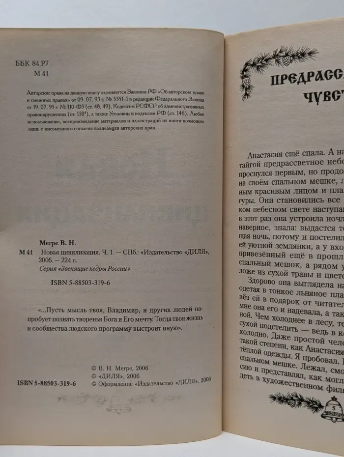 Новая цивилизация. Книга 8. Часть 1