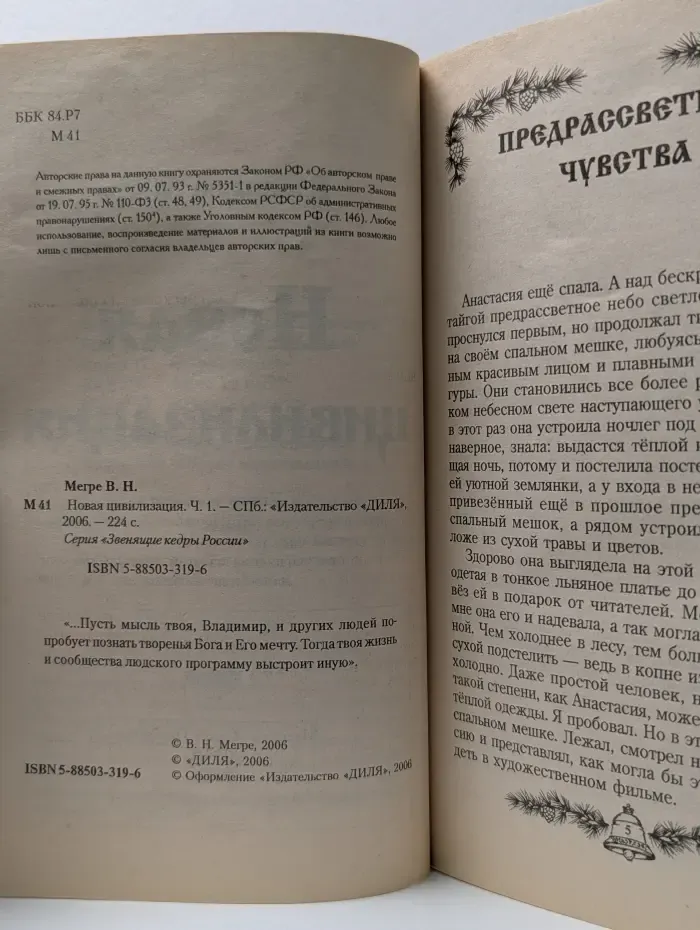 Звенящие кедры России. Новая цивилизация. Книга 8. Часть 1