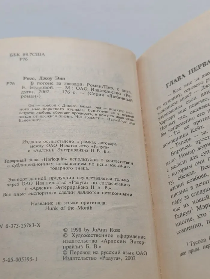 Любовный роман. В погоне за звездой
