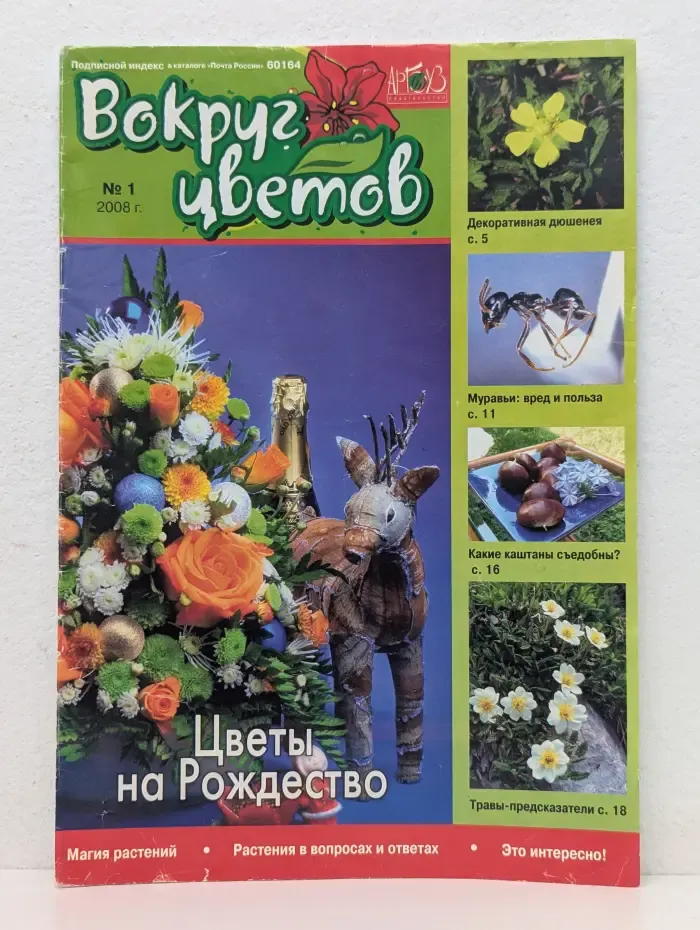 Вокруг цветов. Выпуск № 1/2008