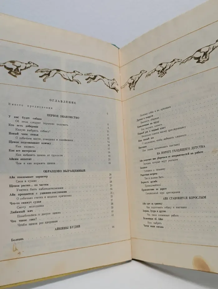 Знай и умей. Воспитай себе друга