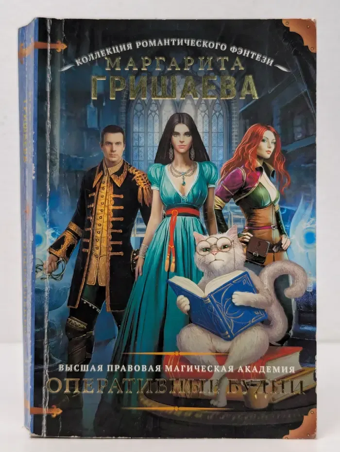 Волшебная академия. Высшая правовая магическая академия. Оперативные будни