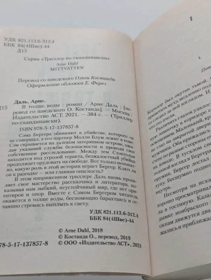 Триллер по-скандинавски. В толще воды