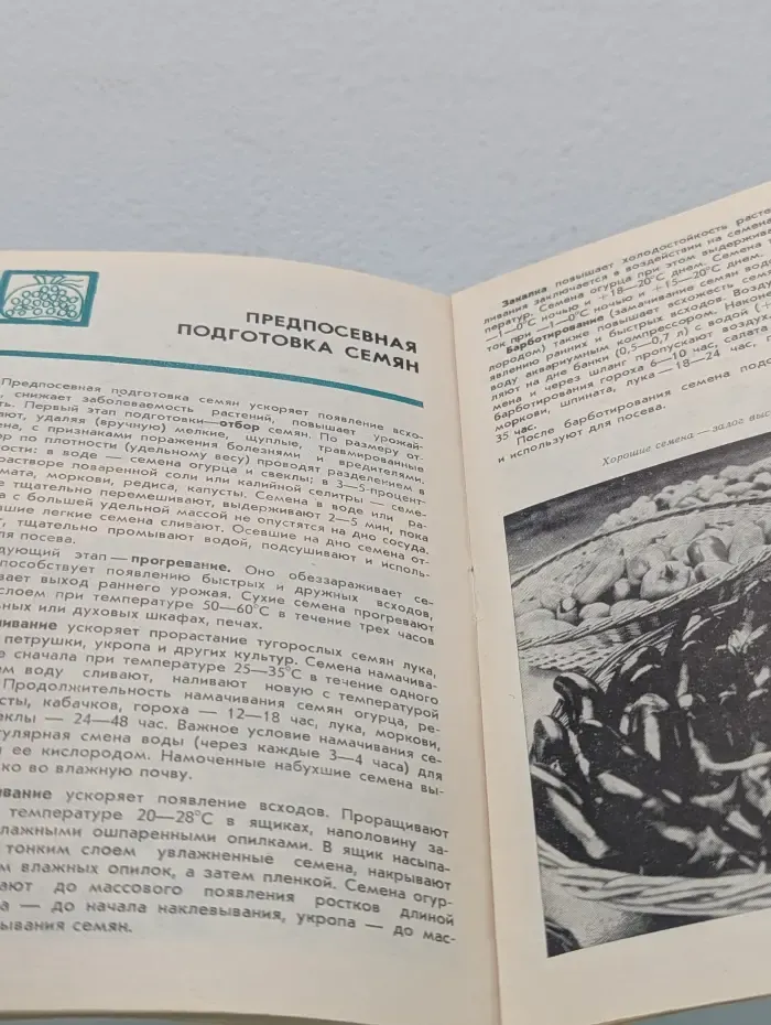 Советы овощеводам-любителям