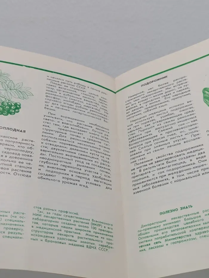 Целебная грядка