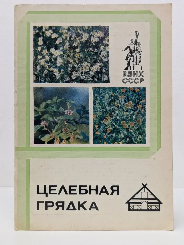 Целебная грядка