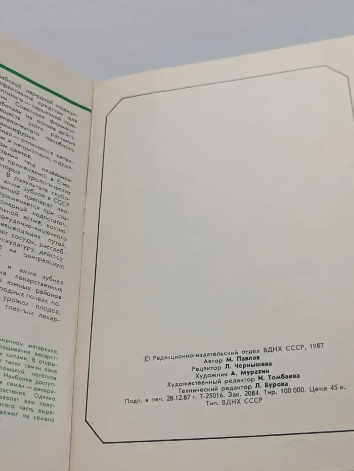 Целебная грядка