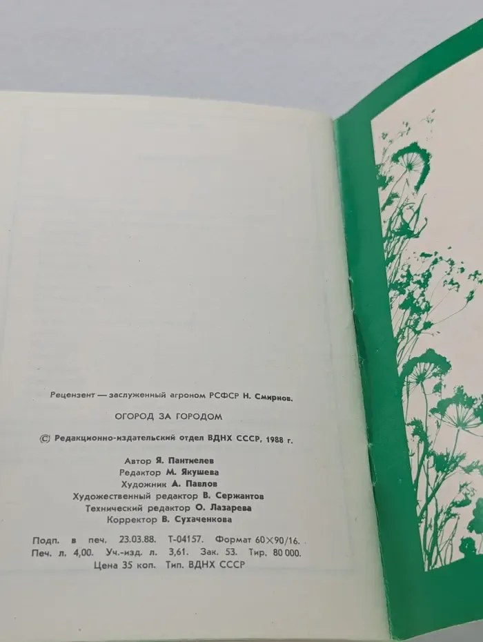 Огород за городом