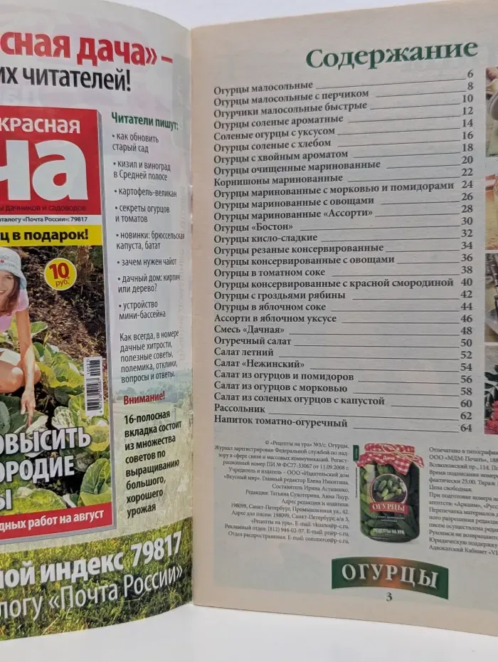 Огурцы. Лучшие домашние заготовки. Выпуск № 3/2010