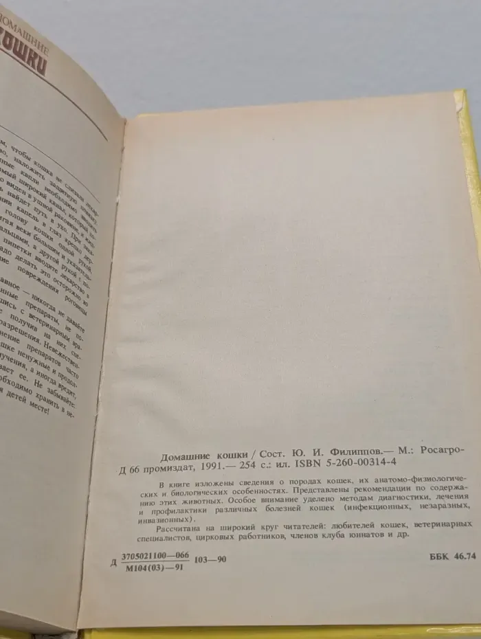 Домашние кошки