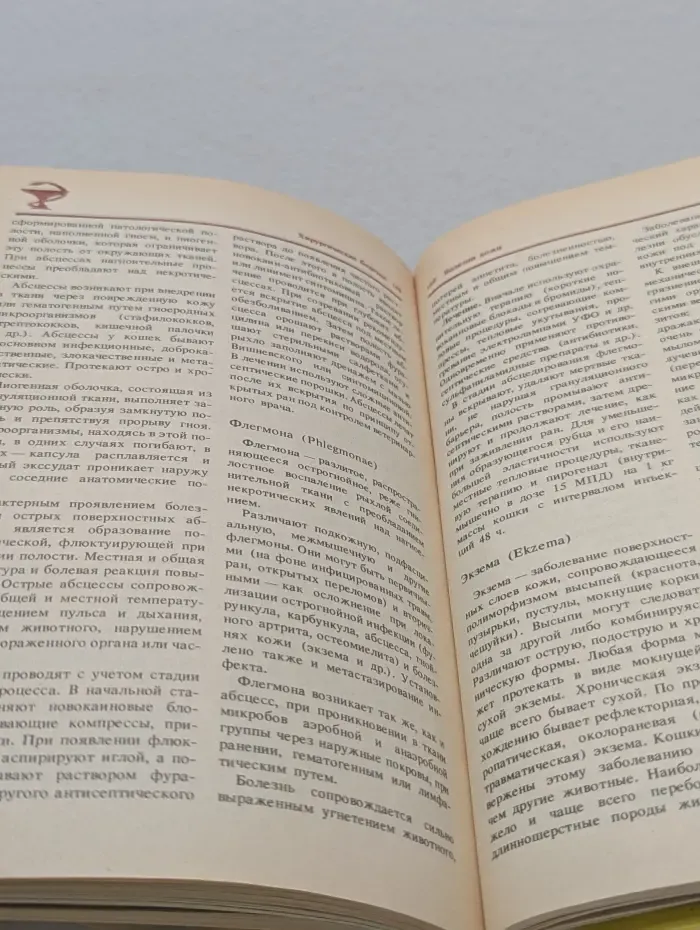 Домашние кошки