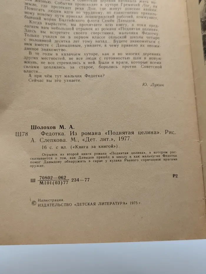 Школьная библиотека. Федотка