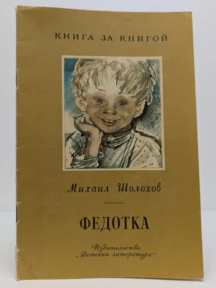 Школьная библиотека. Федотка