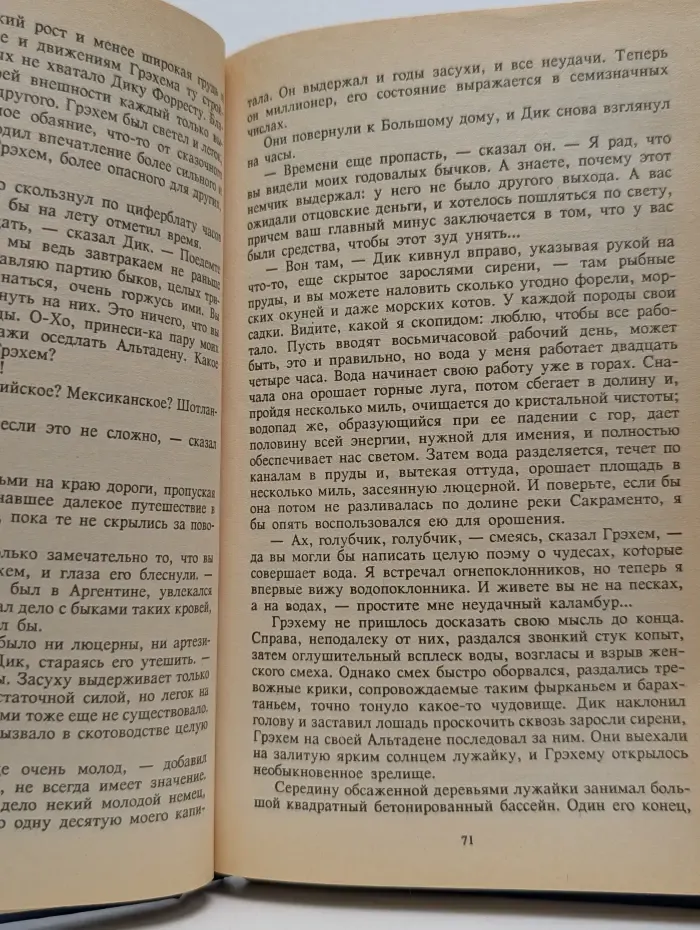 Дамский роман. Маленькая хозяйка большого дома