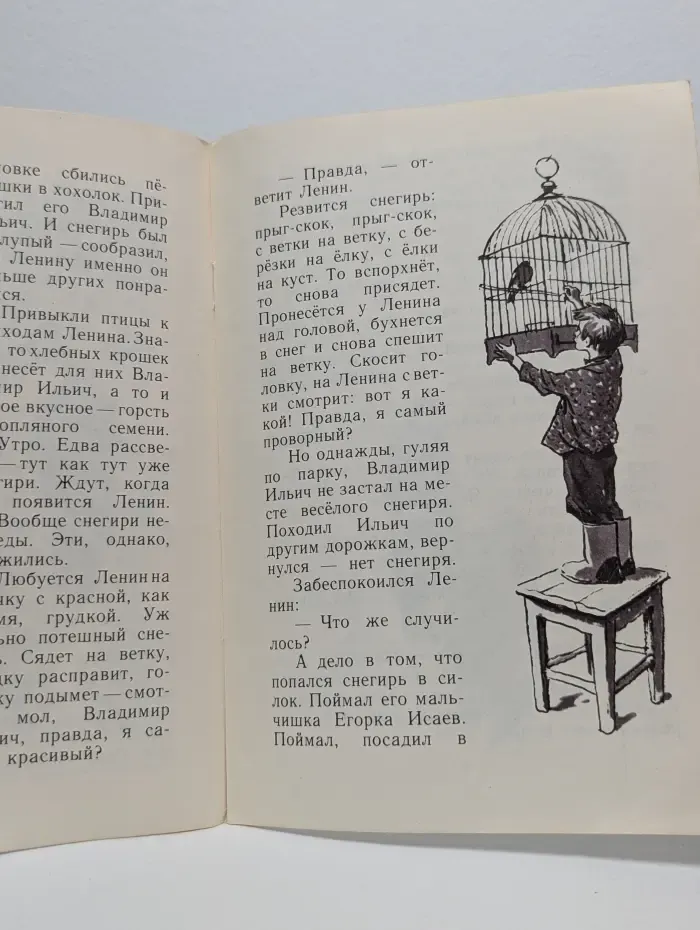 Мои первые книжки. Снегирь