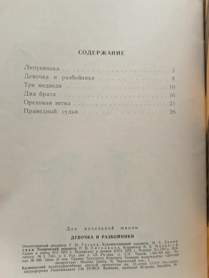 Школьная библиотека. Девочка и разбойники