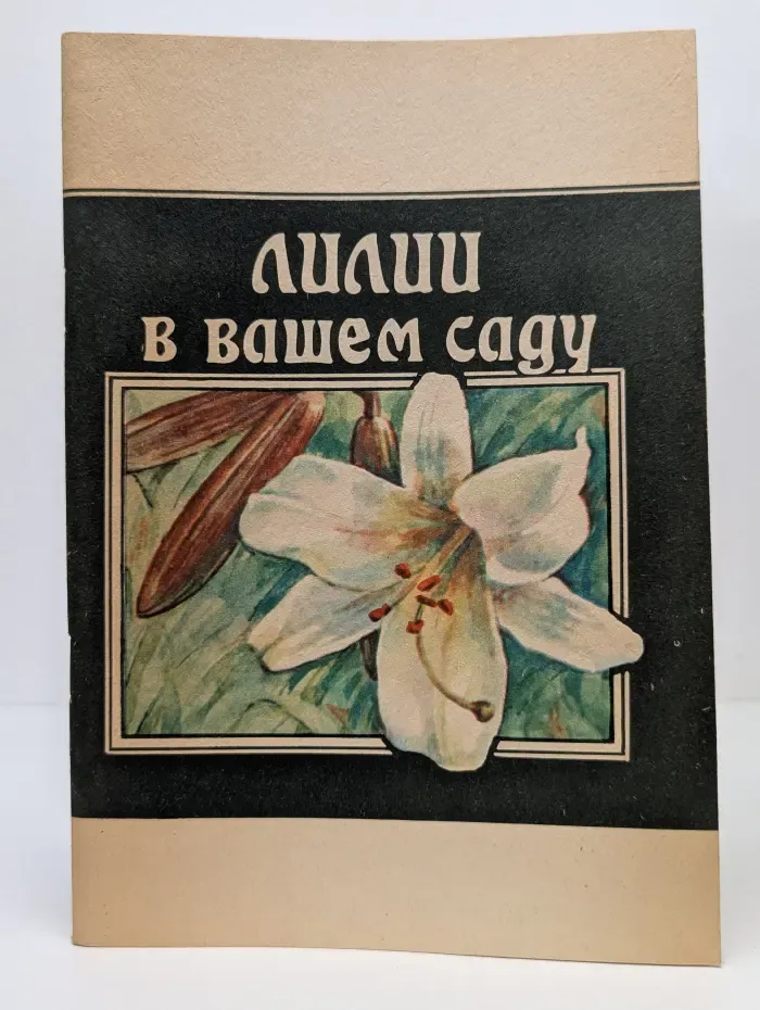 Лилии в вашем саду