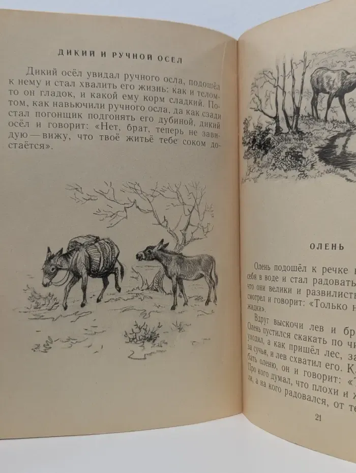 Школьная библиотека. Муравей и голубка