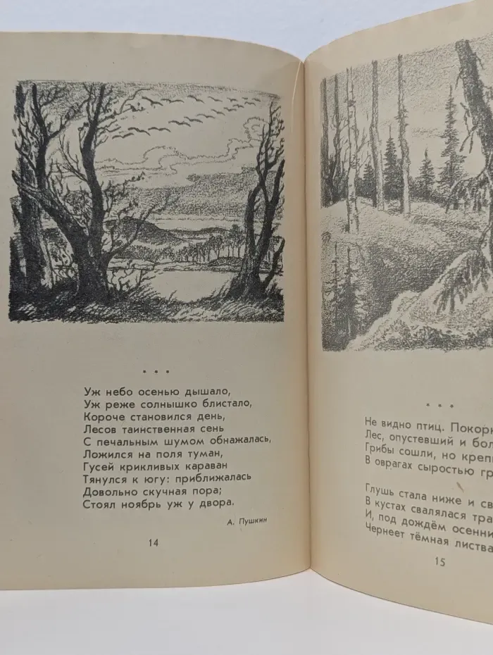 Школьная библиотека. Приметы осени