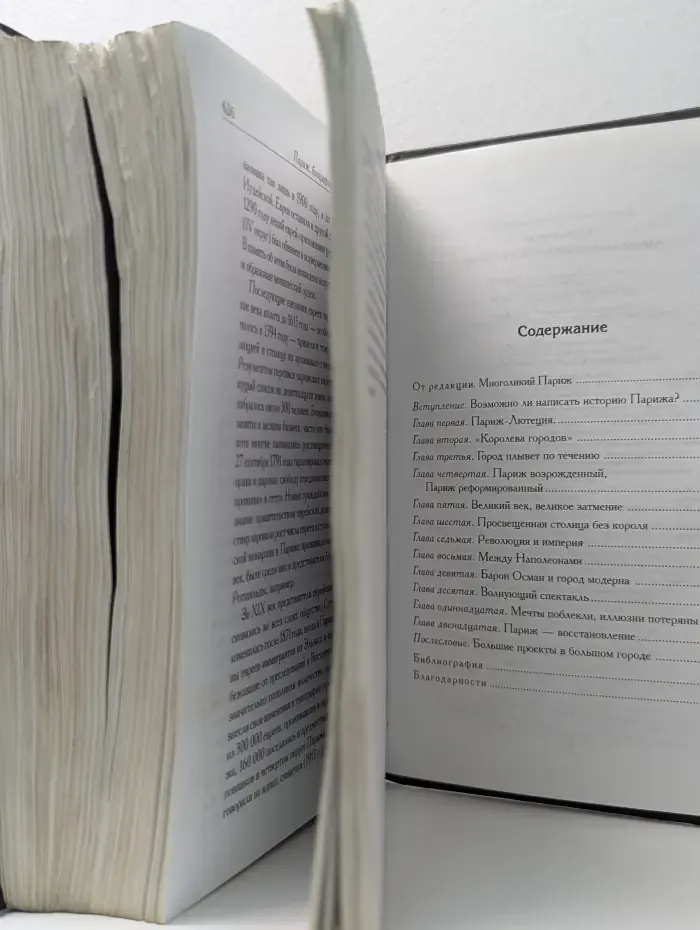 Весь мир в кармане. Париж. Биография великого города