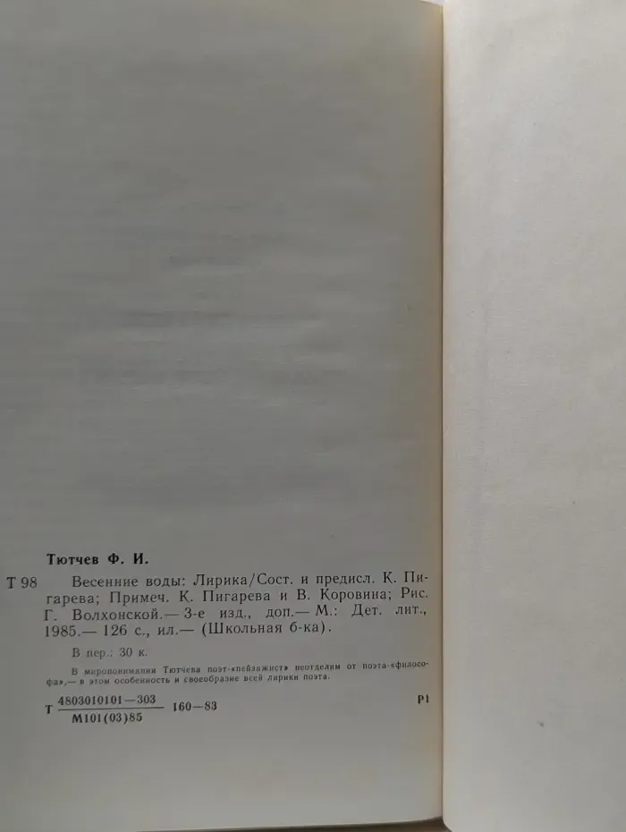 Школьная библиотека. Весенние воды