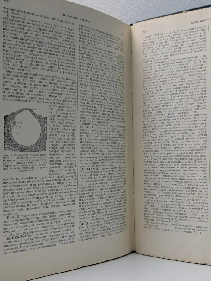 Популярная медицинская энциклопедия