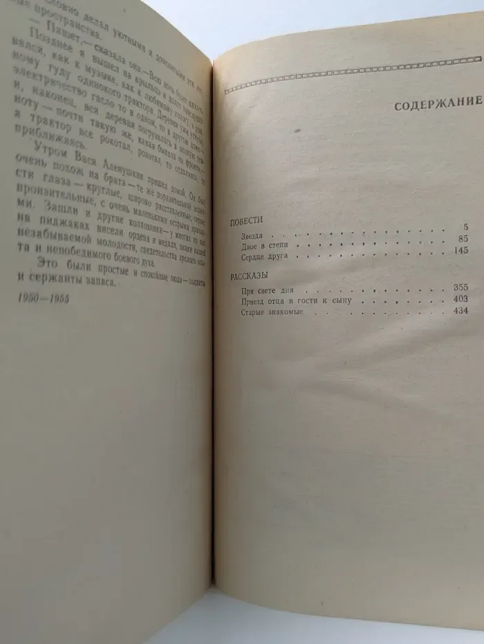 Библиотека журнала Знамя. Звезда. Повести и рассказы