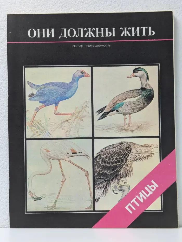 Они должны жить. Птицы. Альбом