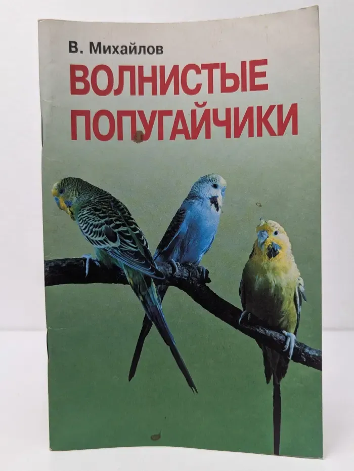 Волнистые попугайчики