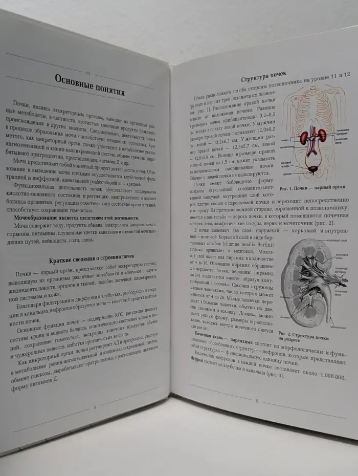 Мочевые синдромы. Лабораторная диагностика