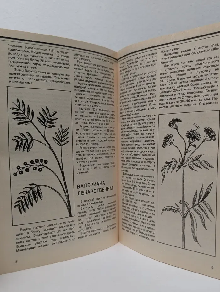Домашняя аптека. Советы народного целителя