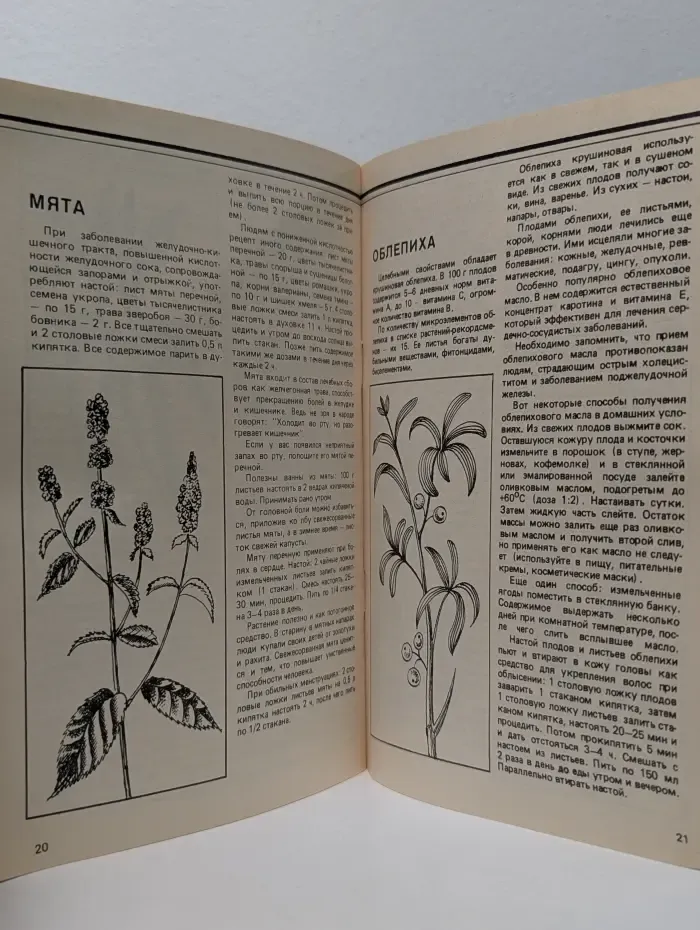 Домашняя аптека. Советы народного целителя