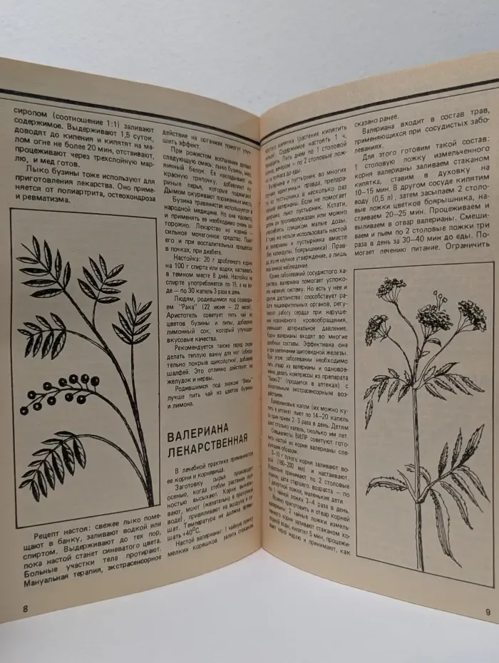 Домашняя аптека. Советы народного целителя