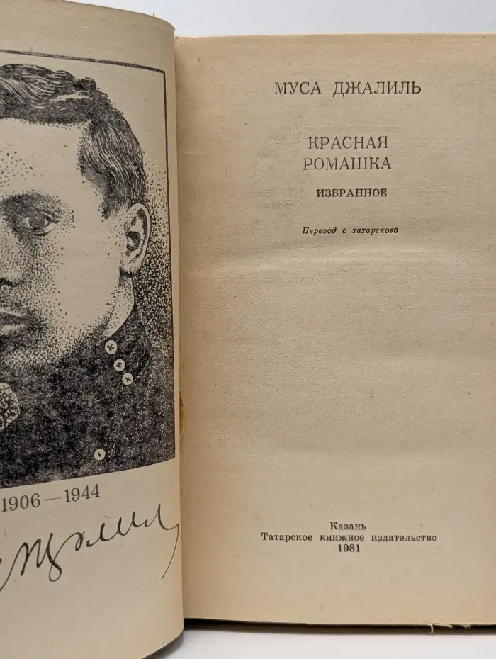 Школьная библиотека. Красная ромашка