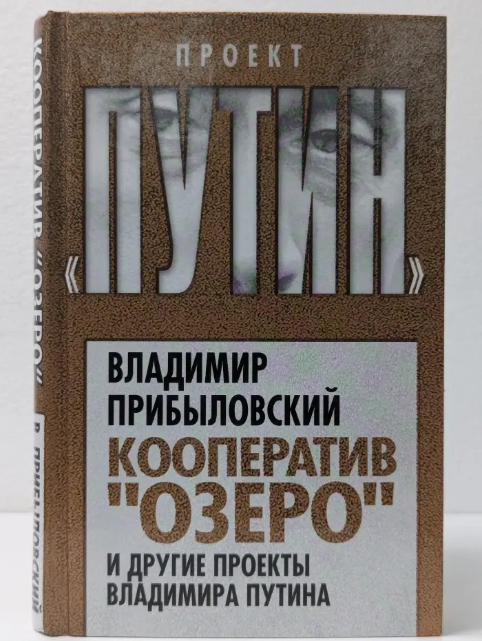 Кооператив "Озеро" и другие проекты Владимира Путина
