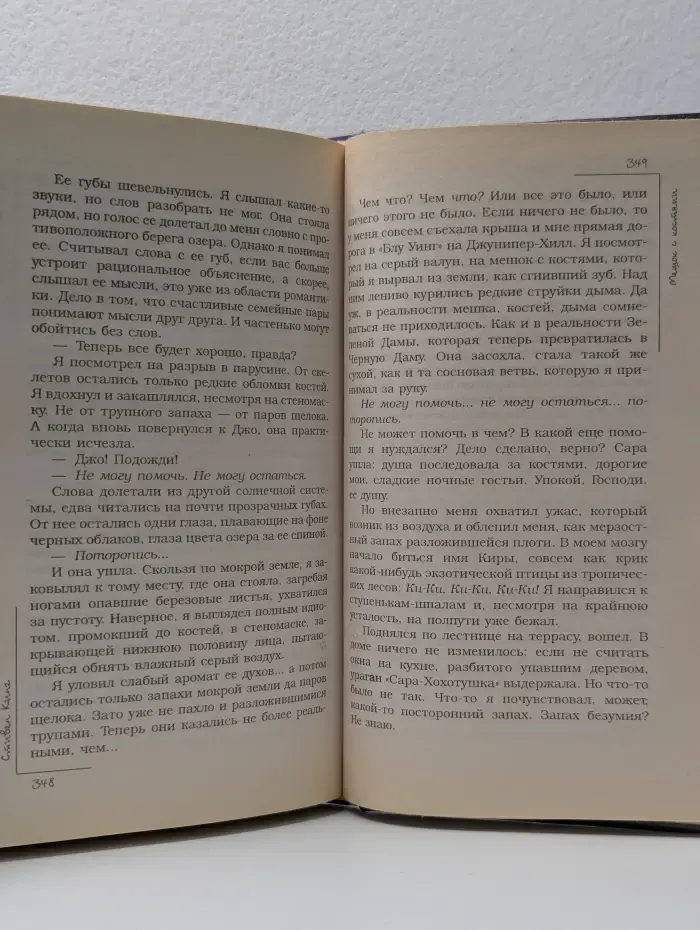 Мешок с костями. Том 2