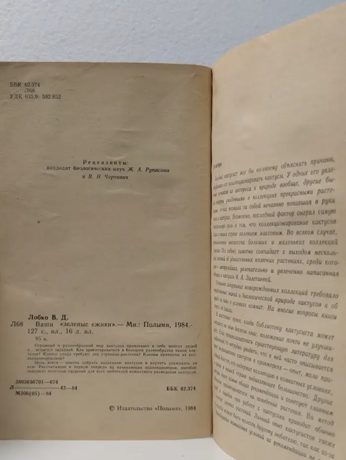 Ваши "зеленые ежики"