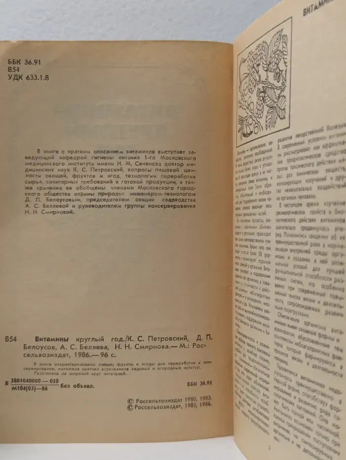 Витамины круглый год