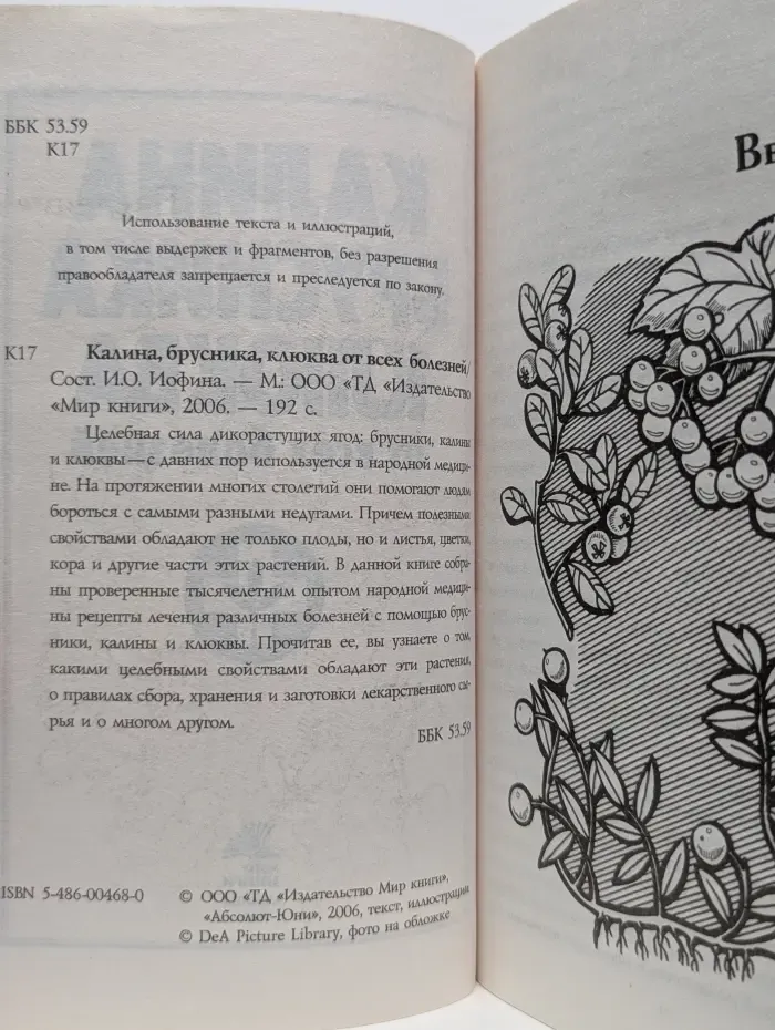 Калина, брусника, клюква. От всех болезней