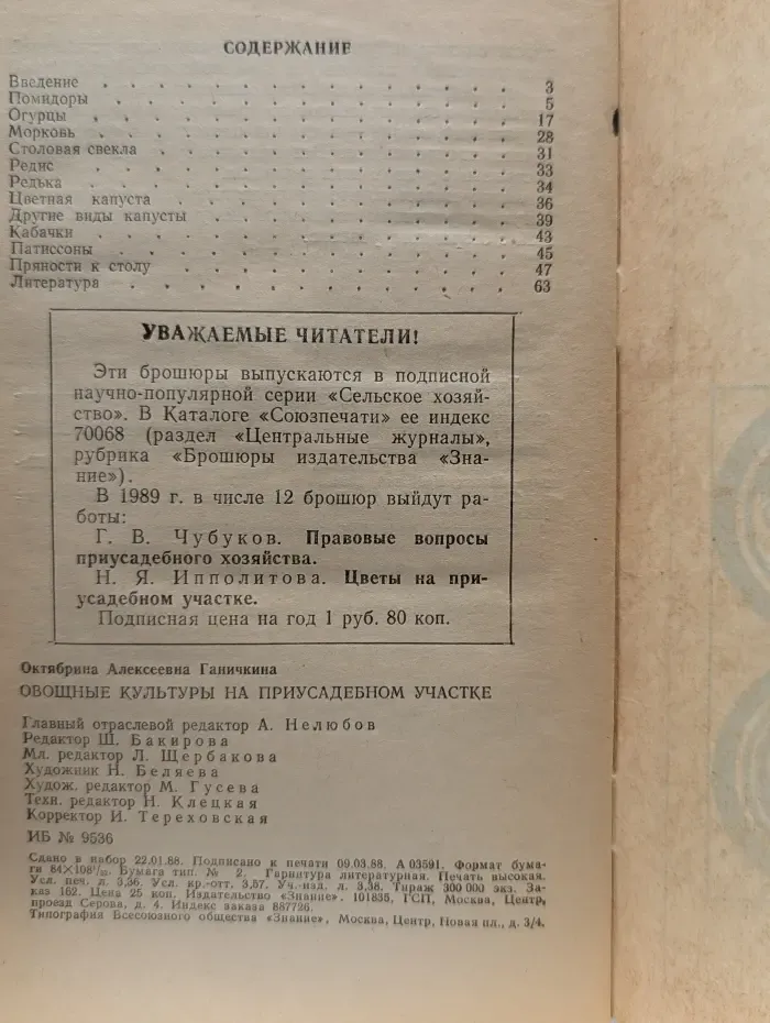 Овощные культуры на приусадебном участке
