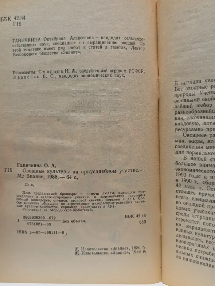 Овощные культуры на приусадебном участке
