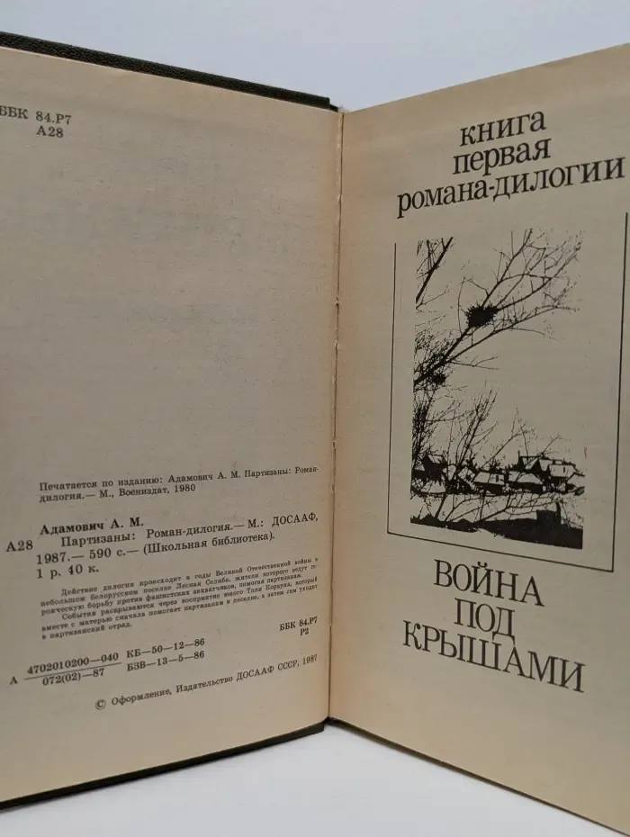 Школьная библиотека. Партизаны