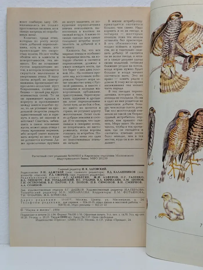 Наука и жизнь. Выпуск № 2/1994