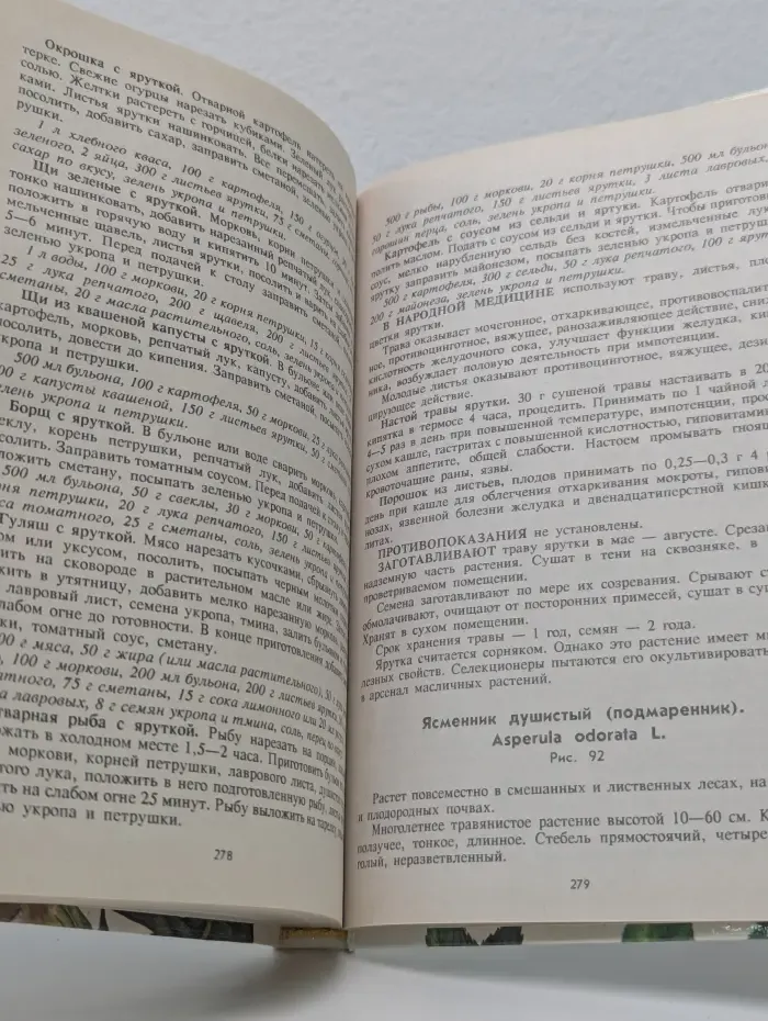 Дары лесов, полей, лугов