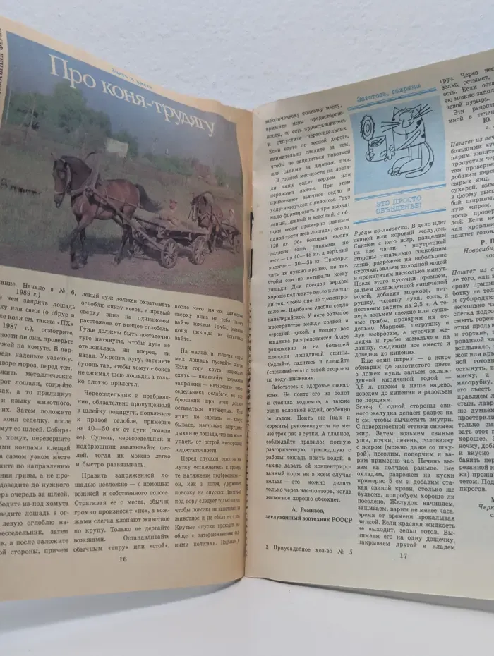 Приусадебное хозяйство. Выпуск № 5/1990