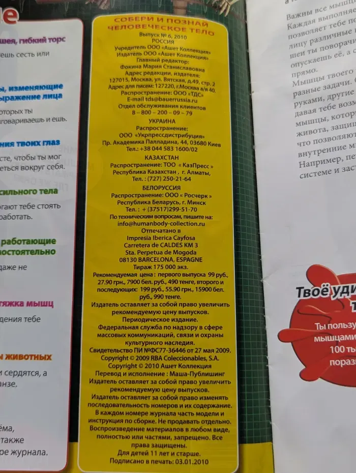 Собери и познай человеческое тело. Выпуск № 6/2010