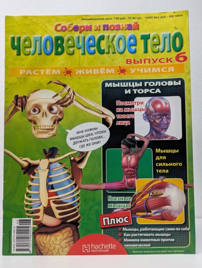 Собери и познай человеческое тело. Выпуск № 6/2010